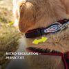 Ferplast Dog Collar ERGOCOMFORT, Collar for Small Size Dogs, Closure with Microadjustment, Soft Padding, Quick Release, Red
