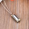 Harmonica Necklace, Mini Harmonica, 4 Hole 8 Tone Harmonica Portable Small Harmonica Necklace Pendant Harmonica for Kids Beginner(Silver)