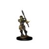 WizKids WZK72614 Accessories