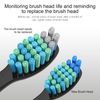 5 Pack Electric Toothbrush Replacement Heads Compatible with Fairywill,Toothbrush Heads Compatible with FW-507/508/551/515/917/959/2011,FW-D1/D3/D7/D8