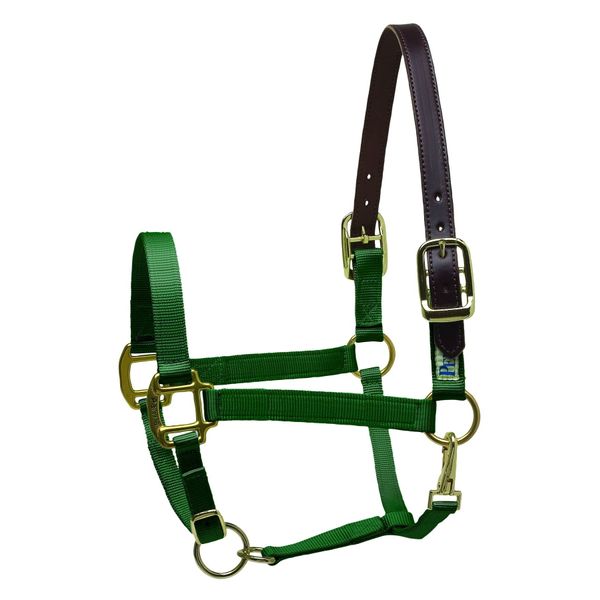 Perri's Premium Nylon Safety Halter, Horse, Hunter Green