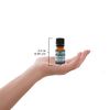 Plantlife Eucalyptus Aromatherapy Essential Oil - Straight from The Plant 100% Pure Therapeutic Grade - No Additives or Fillers - 10 ml