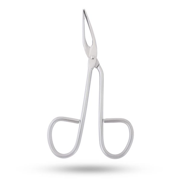 Precise Canada: Eyebrow Tweezer Stainless Steel Scissors Shaped Slant Tip Tweezer Clip
