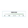 ESCO EA109LL-13 Duster Brush Pig Hair/Flat 2"