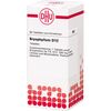 Bryophyllum D12 DHU Tabletten, 80 St TAB