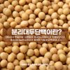 MBP Milk Protein Extract Lactoferrin Powder HACCP Certified MBP Whey Protein Protein Powder Bulk, 1 ea, 230g, 230g