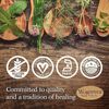 Woodstock Herbal Products Colloidal Silver 4 oz - Immune System Support