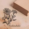 Stempel Calendula - Motivstempel Ringelblume - ca. 38 x 38 mm