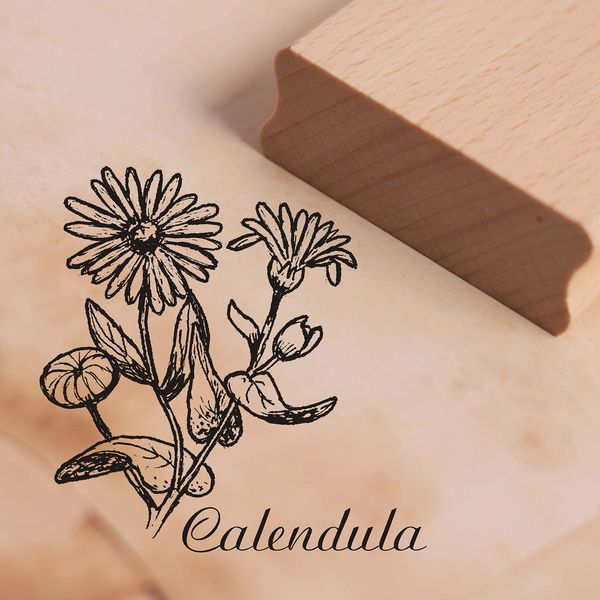 Stempel Calendula - Motivstempel Ringelblume - ca. 38 x 38 mm