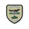 Copytec Patch 3 PzGrenBtl 421 Company Tank Grenadier Battalion German Army #38850
