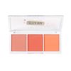 PROFUSION COSMETICS IT'S A VIBE | ADMIT ONE 3 SHADE BLUSH PALETTE