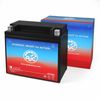 Yamaha FX Nytro RTX 1049CC Snowmobile Replacement Battery (2009)