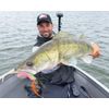 LMAB Bleak Pintail 7 cm – 11 cm – 15 cm KÖFI, Rubber Fish Fishing Lure – Rubber Bait for Zander, Perch, Pike & Trout – Zander Bait Bass Bait – Artificial Bait Dropshot