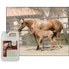 UltraCruz Equine Conditioner for Horses, 16 oz.