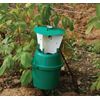 Dragonfli Raspberry Beetle Replacement Pheromone Lure - For Use In Your Raspberry Beetle Traps