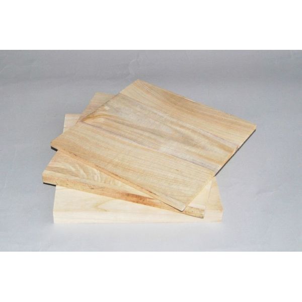 Phoenix Pack of 10 Disposable Break Test Boards 30 x 30 x 1 cm
