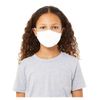 2 Ply Reusable Face Mask