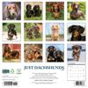 Dachshunds 2026 12" x 12" Wall Calendar