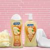 Softsoap Softsoap moisturizing body wash, shea and almond oil - 20 fluid ounce (4 pack), 20 Ounce