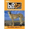 Big Cat Week: The Complete First and Second Series [DVD] (2004/2005)