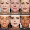 PureBrow Brow Powder Medium Brown