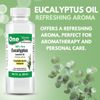 Arymar Eucalyptus Oil – Essential Oil Blend for Aromatherapy, 2 fl oz (6-Pack)