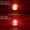 Tail Lamp Motorcycle Universal Bulb