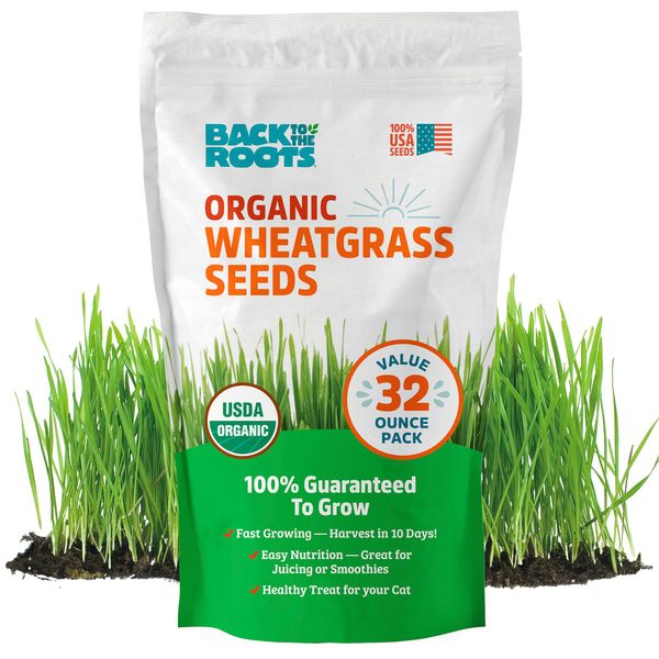 Back to the Roots Organic Wheatgrass Seeds – 2lb Non-GMO Value Pack; Great for Growing Nutritious Wheatgrass, Also Catgrass (Natural Hairball Remedy for Cats)