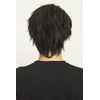 Party City WIGGY RICH Wig, Basic Short, Men's, Black