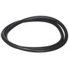 Waterway Plastics 806105244048 Pro Clean Lid O-Ring