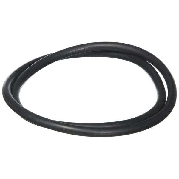 Waterway Plastics 806105244048 Pro Clean Lid O-Ring