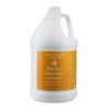 Soothing Touch Basics Lotion, Unscented, 1 Gallon