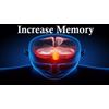 Immune support formula - BRAIN & MEMORY BOOSTER - gingko biloba capsules - 1B