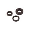 TCK Set: Shaft Seals, Brown, engine Double Lip for RT125/1, RT125/2