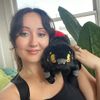 Squishable / Mini Black Widow Spider Plush