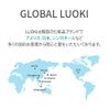 Luoki Nordic Glacier Water Sleeping Pack, 2.8 oz (80 g), Moisturizing Cream, Warming, Brightening, Night Cream, Sleeping Mask, Different Morning Skin, Colorless, Korean Cosmetics