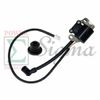 Ignition Coil Module Spark Plug For Harbor Predator 3500 Watt Inverter Generator