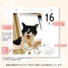 CK-C25-02 Cat Turning 2025 Calendar, Refill, Day Dive