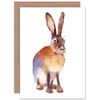 Wee Blue Coo Hare Watercolour Isolated Greeting Card With Envelope Inside Premium Quality