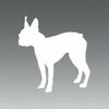 (2x) Boston Terrier - Dog - White - Sticker - Decal - Die Cut