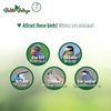 Wild Wings Decorative Bluebird House Spring Ivy, White