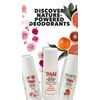 Thai Deodorant Stone Thai Crystal Mist Roll On Deodorant, 3 Oz