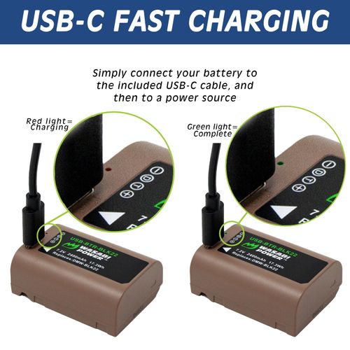 Wasabi Power USB-C Dual Battery Charger for Panasonic DMW-BLK22 and Panasonic Lumix DC-G9, DC-S5, DC-S5 II, DC-S5 IIX, GH5 II, GH6, S5II, S5IIX, S5M2, S5M2X, GH5M2