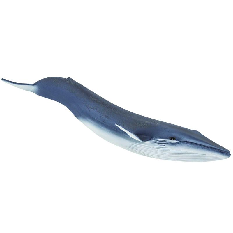 Safari Ltd Sperm Whale Toy - 8.5 Inch Detailed Marine Animal Figure For Kids