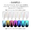 Nail Satin Chrome Powder In Case (Satin-001)