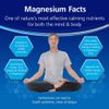 Bioglan Active Magnesium | Supports Muscle Function | 120 Tablets