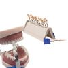Teeth Whitening Shade Guide Porcelain 29 Colors Set Tooth Bleaching Shade Chart Mold Dental Material Equipment Oral Care