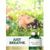 Bacopa Monnieri 2000 Mg Brahmi Leaf Boost Brain Stress Prevent, 180 Capsules