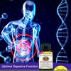 Probiótico Y Prebiótico – Combinación Poderosa Para Tu Salud Intestinal Cápsulas