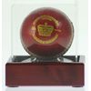 CRICKET BALL DISPLAY CASE